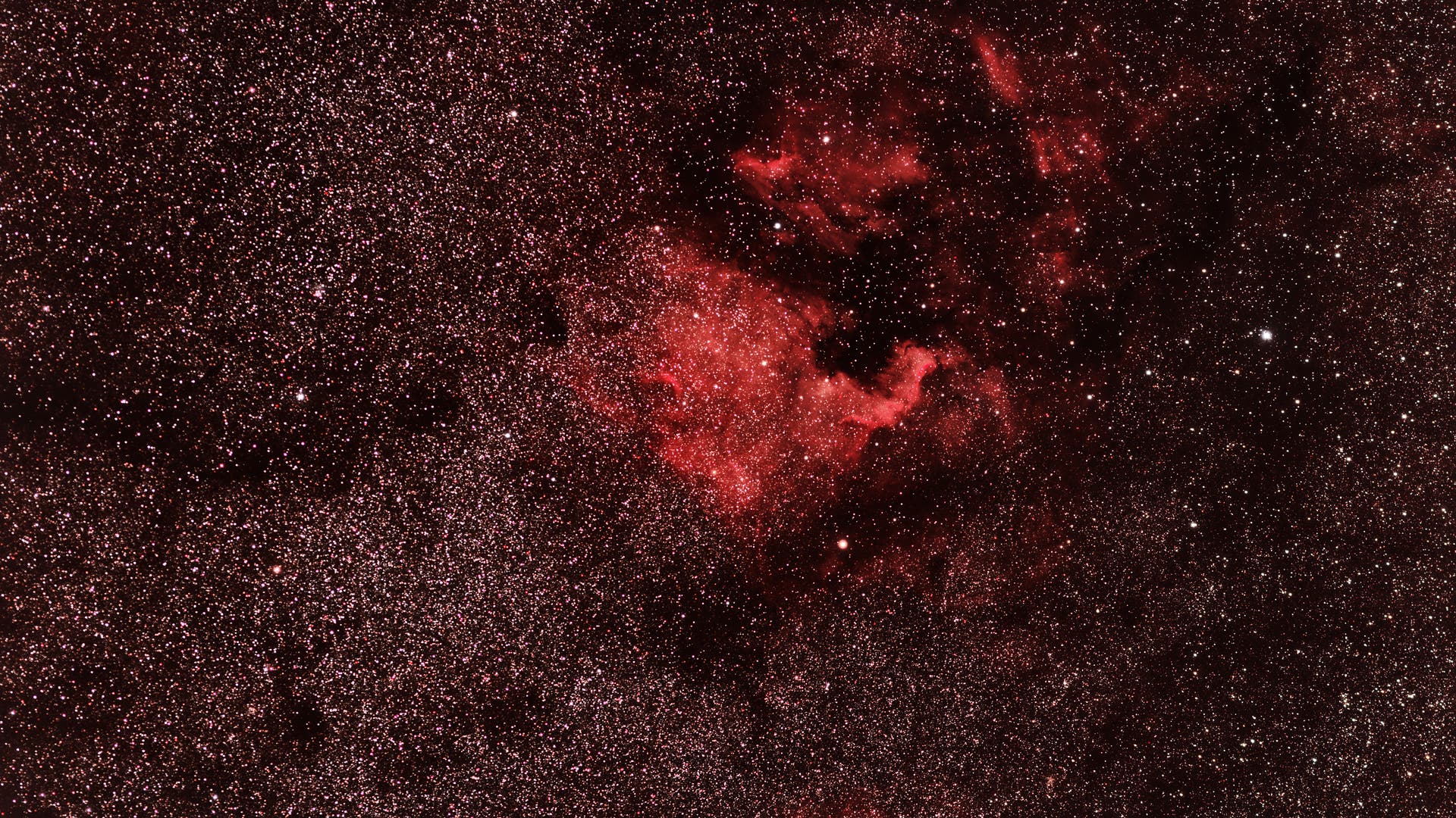 NGC 7000 Spektrum der Wissenschaft
